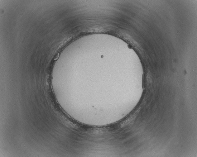 X0000076400305200610271625