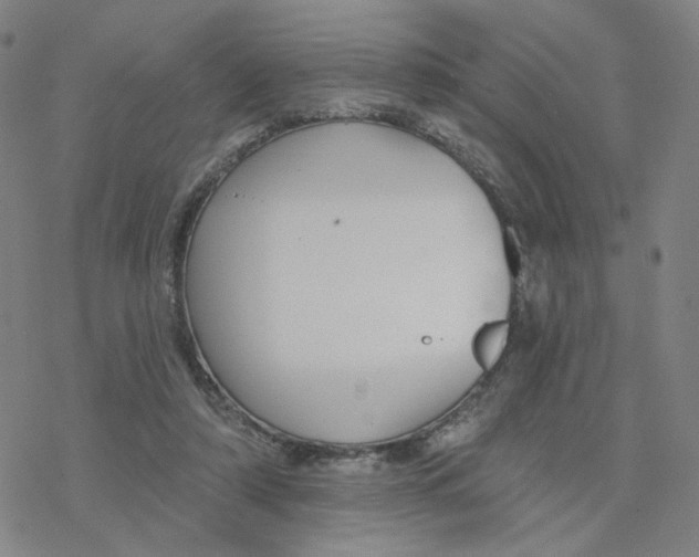 X0000076400306200610271625