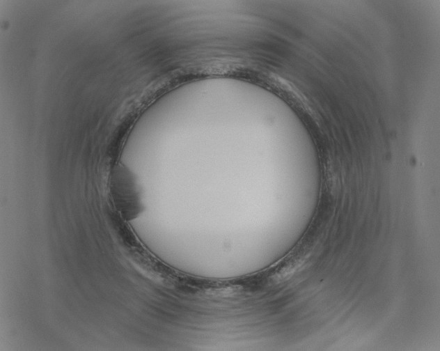 X0000076400307200610271625