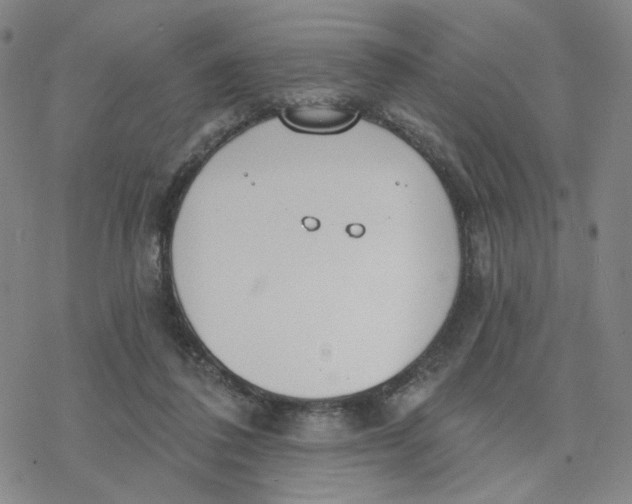 X0000076400308200610271625