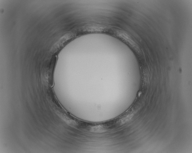 X0000076400309200610271625