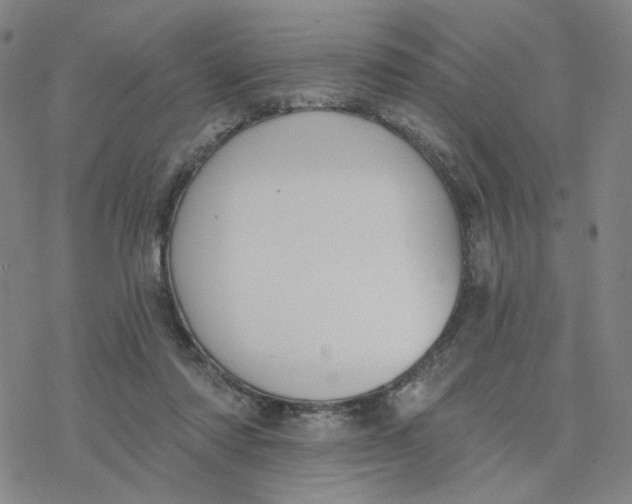 X0000076400310200610271625