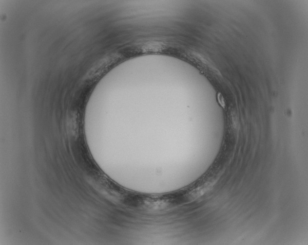 X0000076400311200610271625