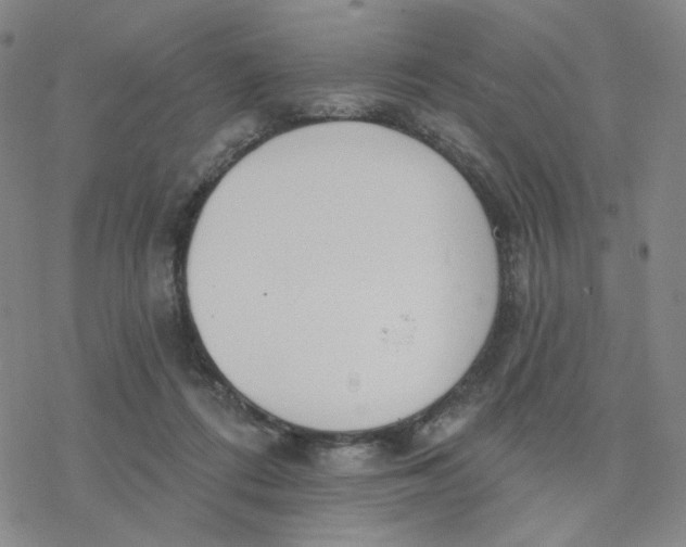 X0000076400312200610271625