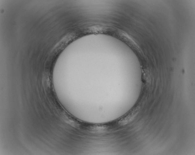 X0000076400313200610271625