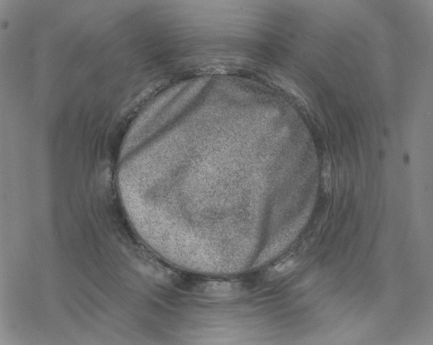 X0000076400314200610271625