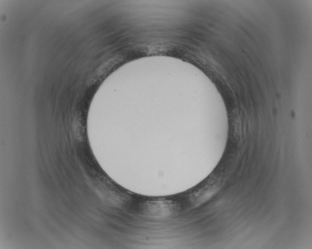 X0000076400316200610271624