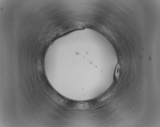 X0000076400317200610271624