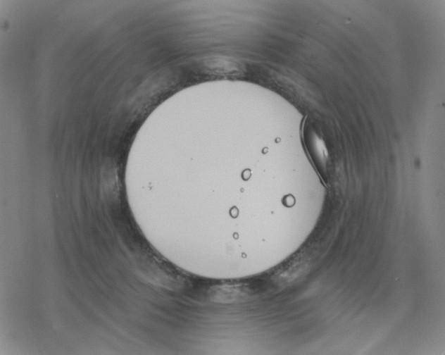 X0000076400320200610271624