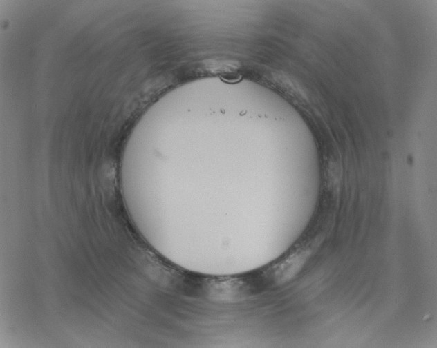 X0000076400321200610271624