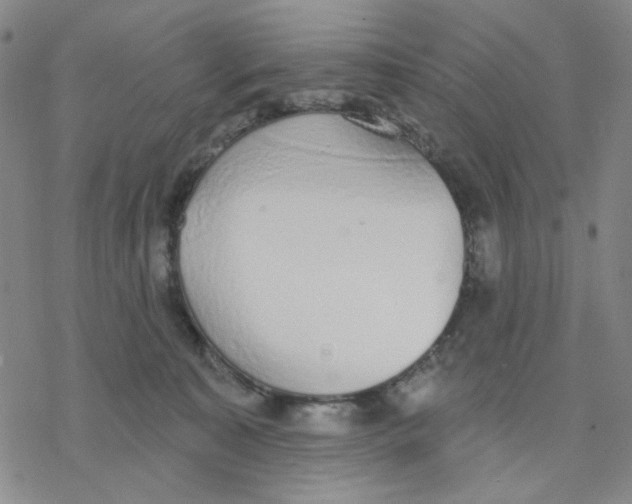 X0000076400323200610271624