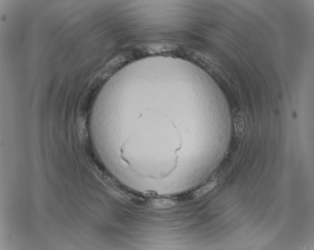 X0000076400327200610271624