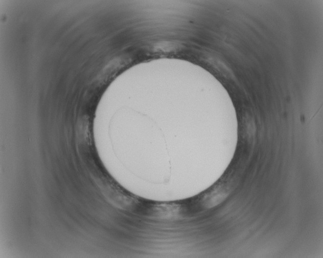 X0000076400328200610271624