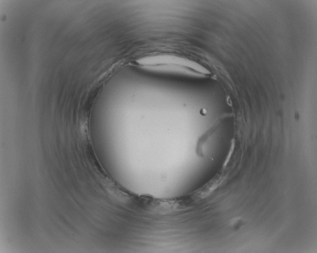 X0000076400329200610271624