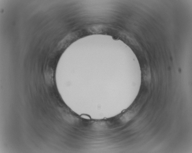 X0000076400332200610271624