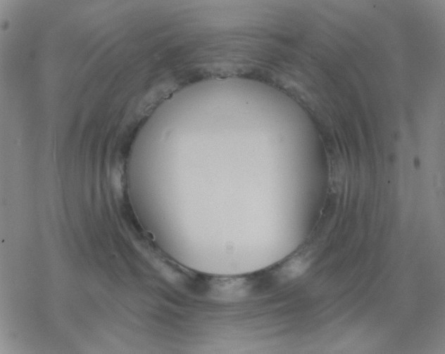 X0000076400334200610271624