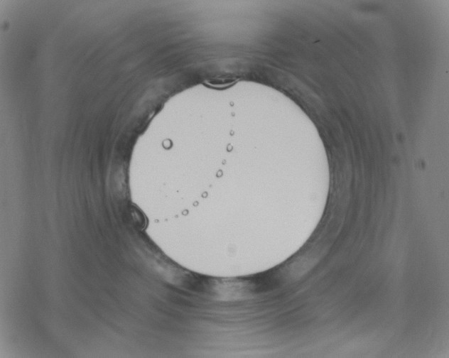 X0000076400336200610271624