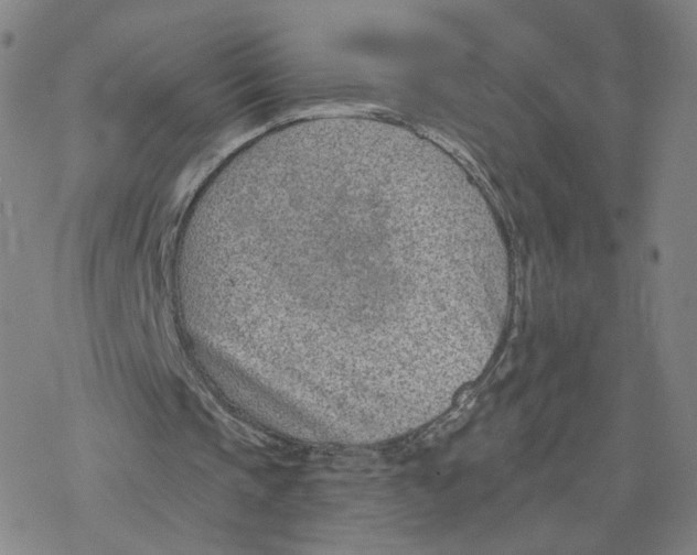 X0000076400337200610271623