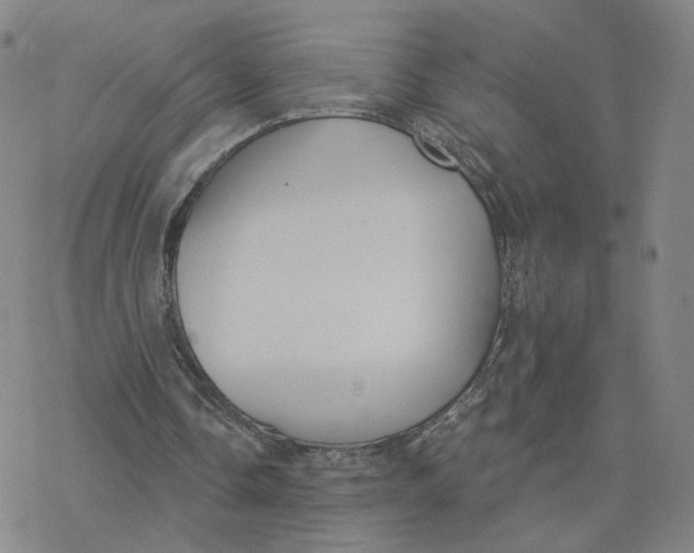 X0000076400338200610271623