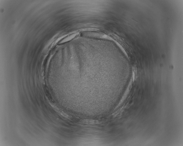 X0000076400339200610271623