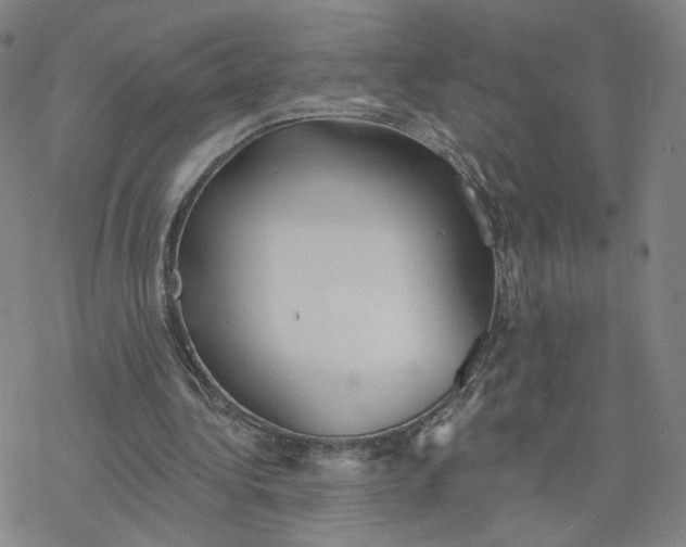 X0000076400340200610271623