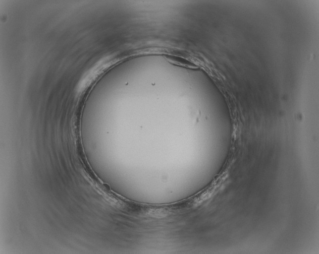 X0000076400341200610271623