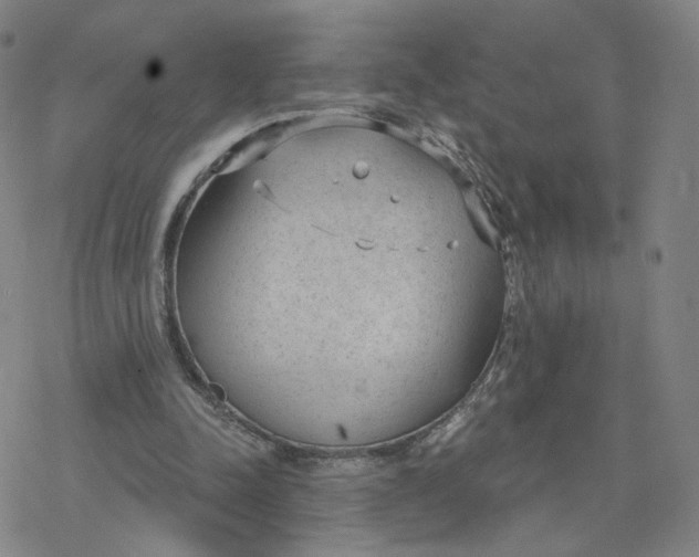 X0000076400342200610271623