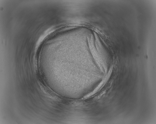 X0000076400343200610271623