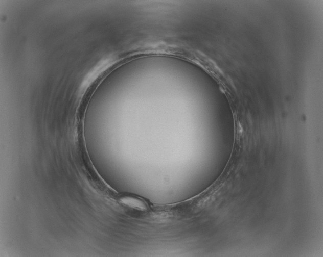 X0000076400344200610271624