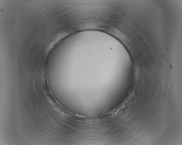 X0000076400345200610271624