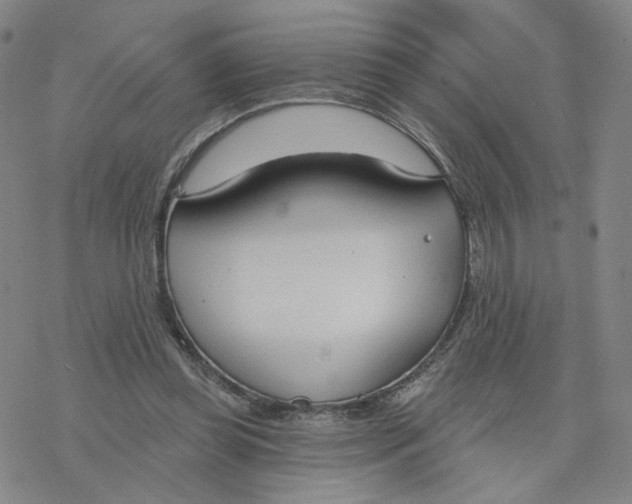 X0000076400349200610271624