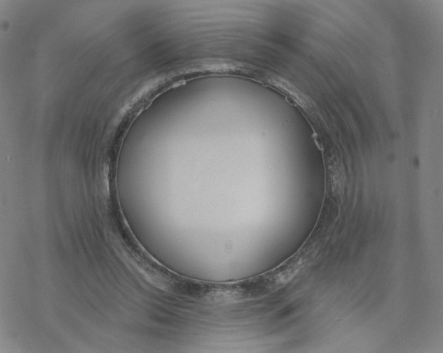 X0000076400350200610271624