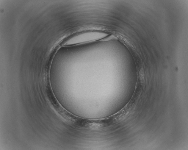 X0000076400352200610271624