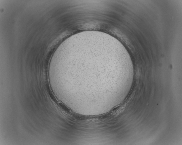 X0000076400353200610271624