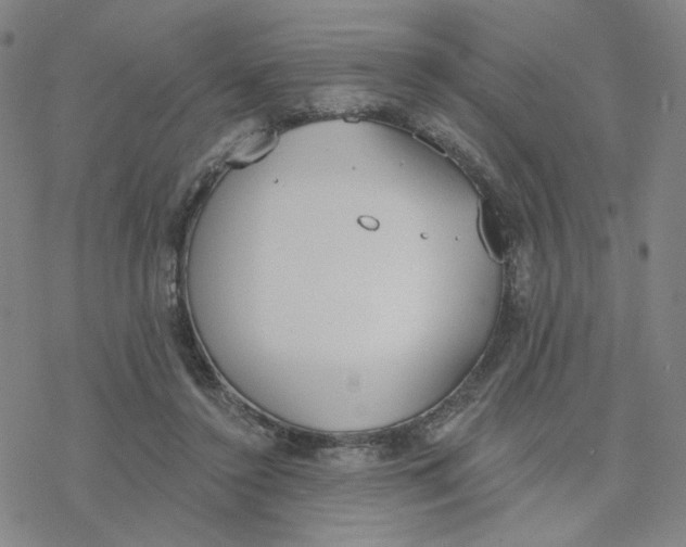 X0000076400356200610271624