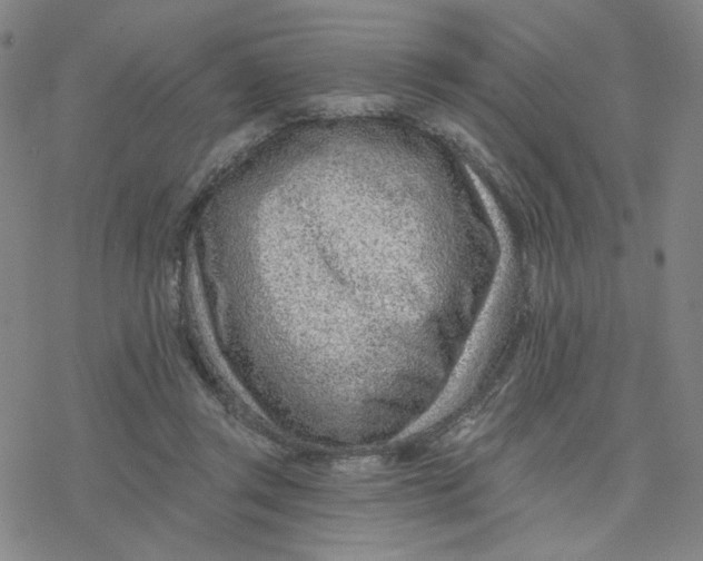 X0000076400357200610271624