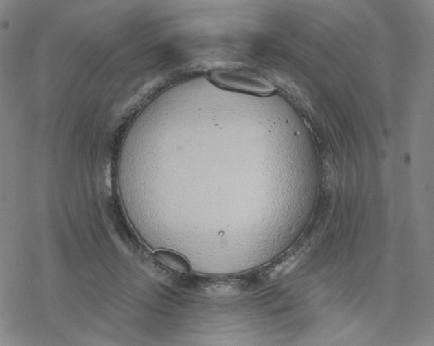 X0000076400358200610271624