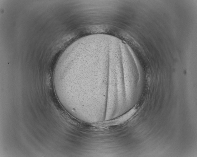 X0000076400359200610271624