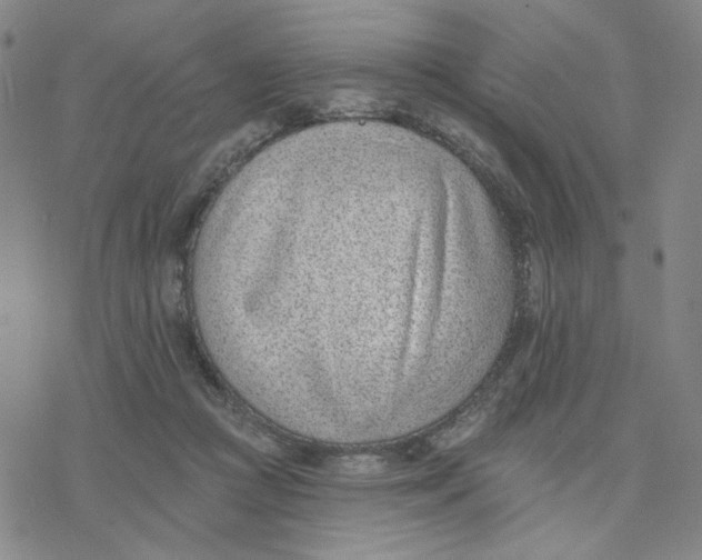 X0000076400361200610271624