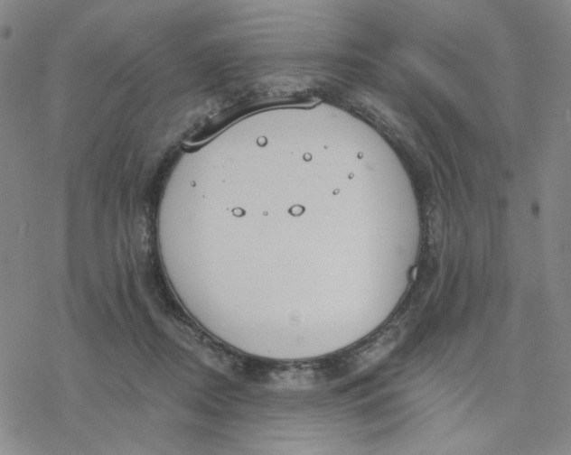 X0000076400362200610271624