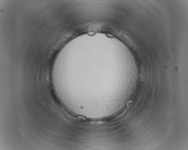 X0000076400363200610271624