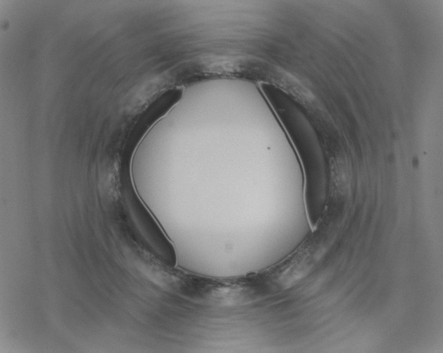 X0000076400364200610271624