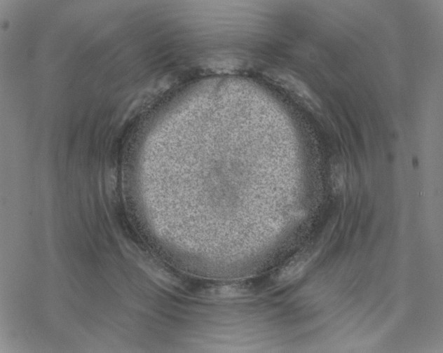 X0000076400365200610271624