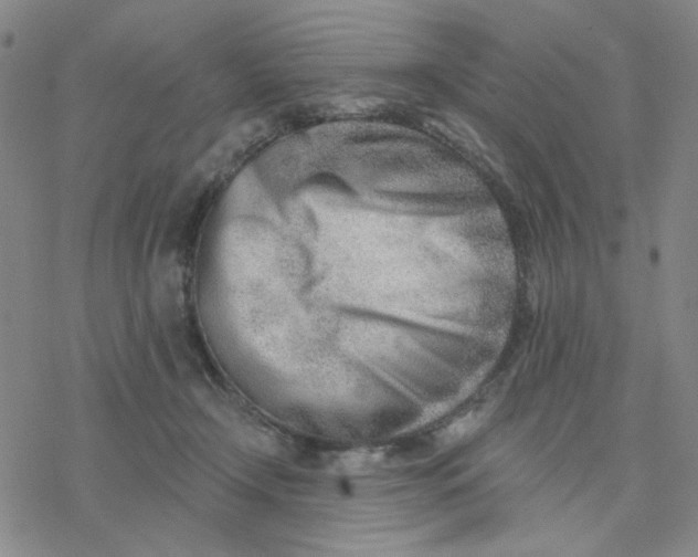 X0000076400366200610271624