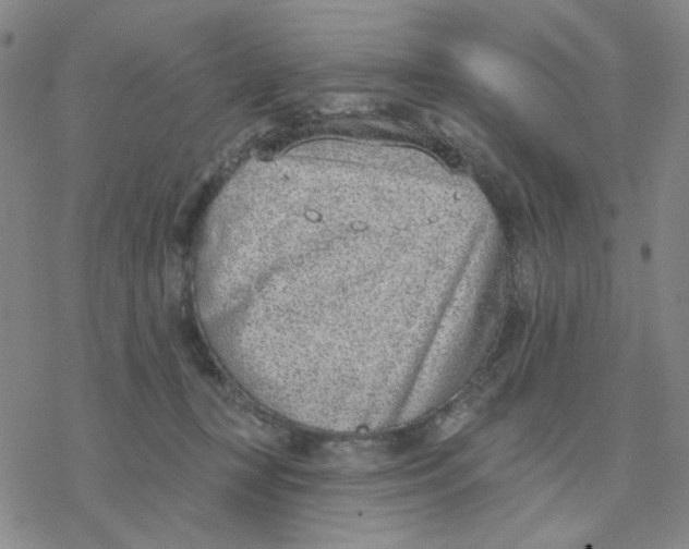 X0000076400367200610271624