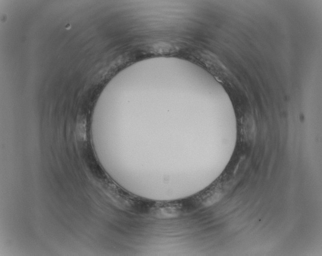 X0000076400368200610271624