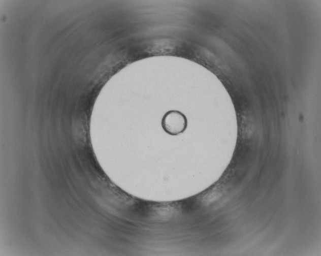 X0000076400370200610271624