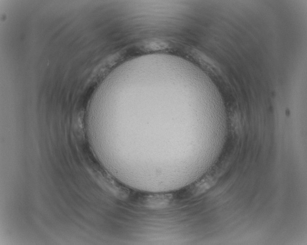 X0000076400373200610271624