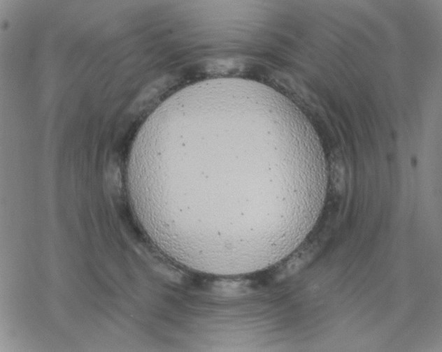 X0000076400375200610271624