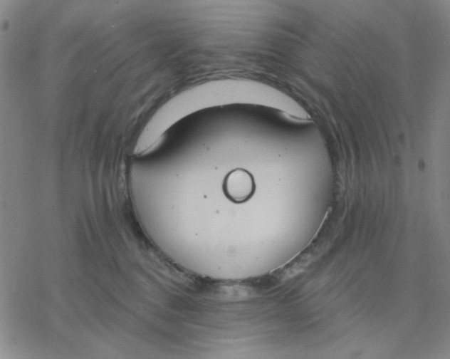 X0000076400376200610271624